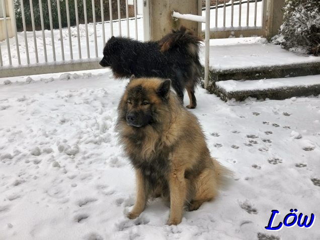 24.12.2025 - Schnee, Hurra!